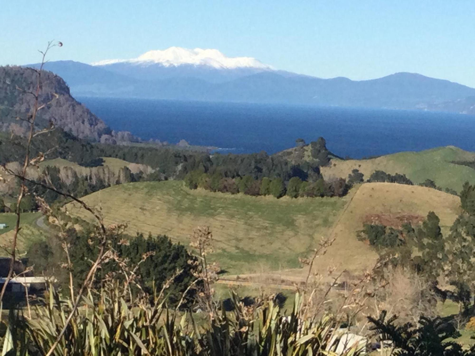 Whakaipo Bay Cabin Retreat Taupo Exterior foto