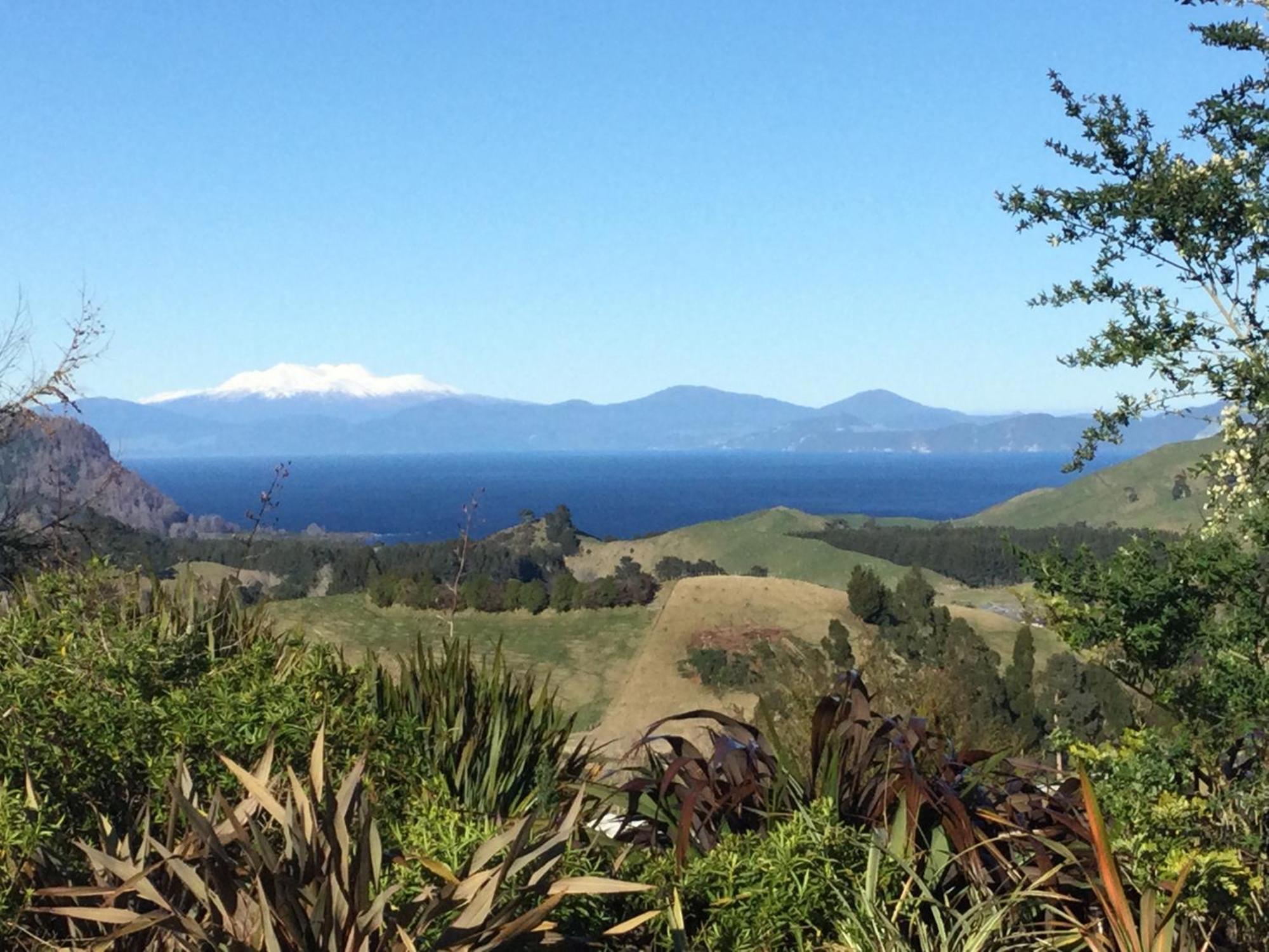 Whakaipo Bay Cabin Retreat Taupo Exterior foto